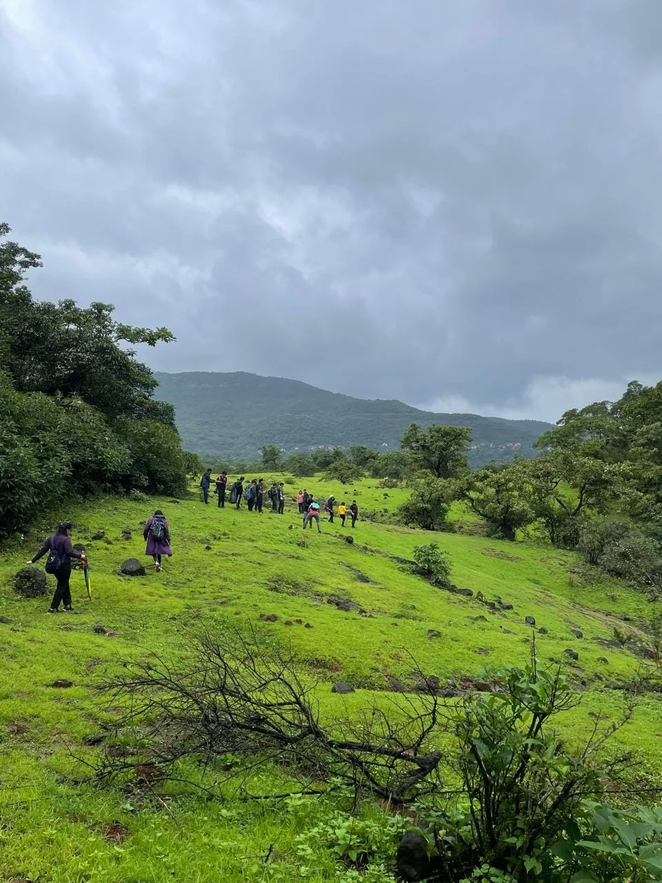 Trails open up around the property through the monsoon — Misty Cascades, Karjat